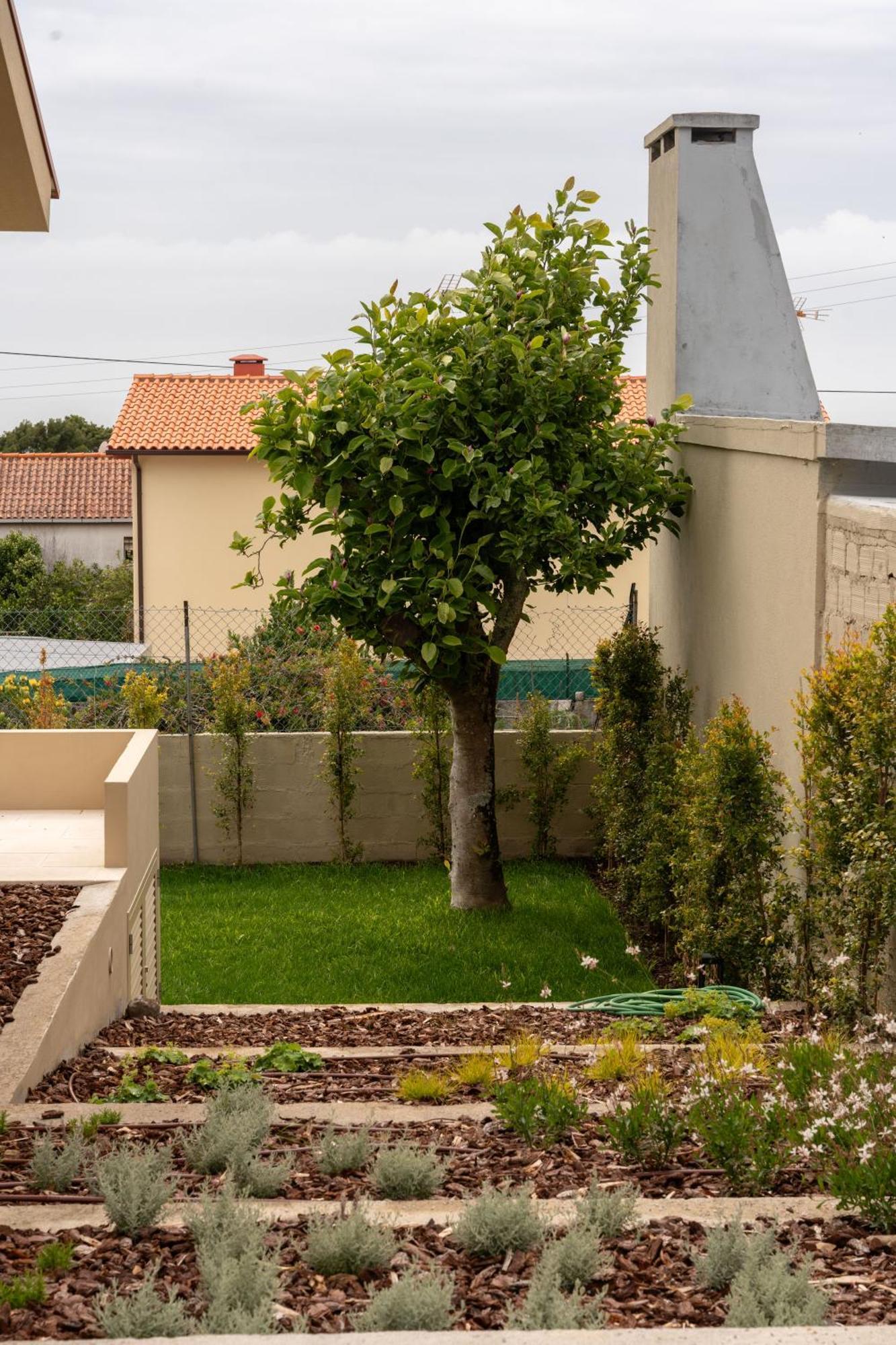 3 Olives House - By 3 Marias Residence Santana (Minho) Exterior foto